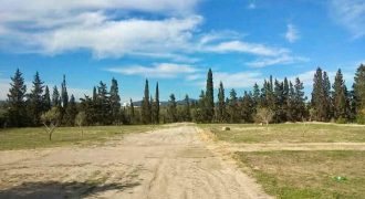 des terrains a vendre hamamet