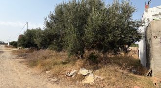 🏡 Terrain à vendre – Entre Bir Bouregba et Barraket Essahel