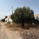 🏡 Terrain à vendre – Entre Bir Bouregba et Barraket Essahel
